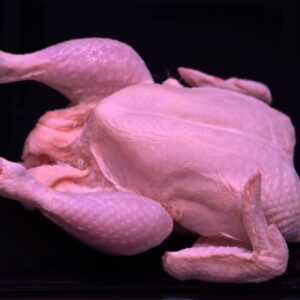 POLLO