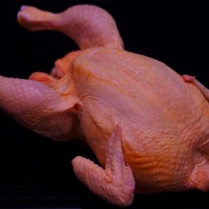 POLLO CORRAL